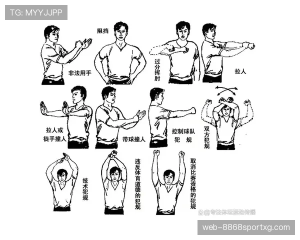 八秒违例怎么吹？一次看懂篮球回场规则与常见争议